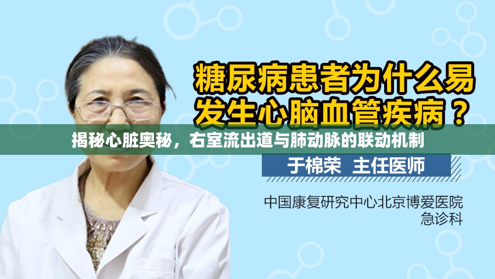 揭秘心臟奧秘，右室流出道與肺動(dòng)脈的聯(lián)動(dòng)機(jī)制