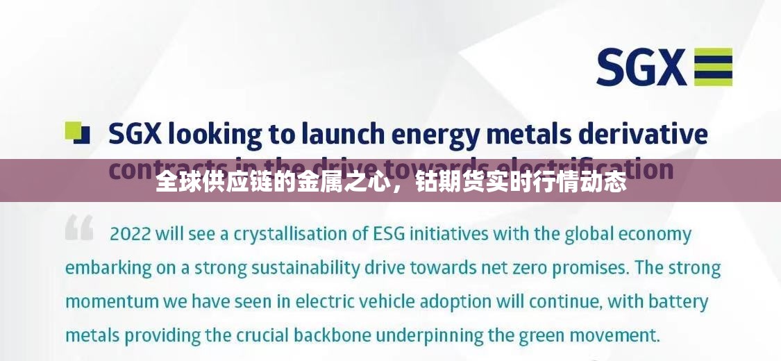 全球供應(yīng)鏈的金屬之心，鈷期貨實時行情動態(tài)