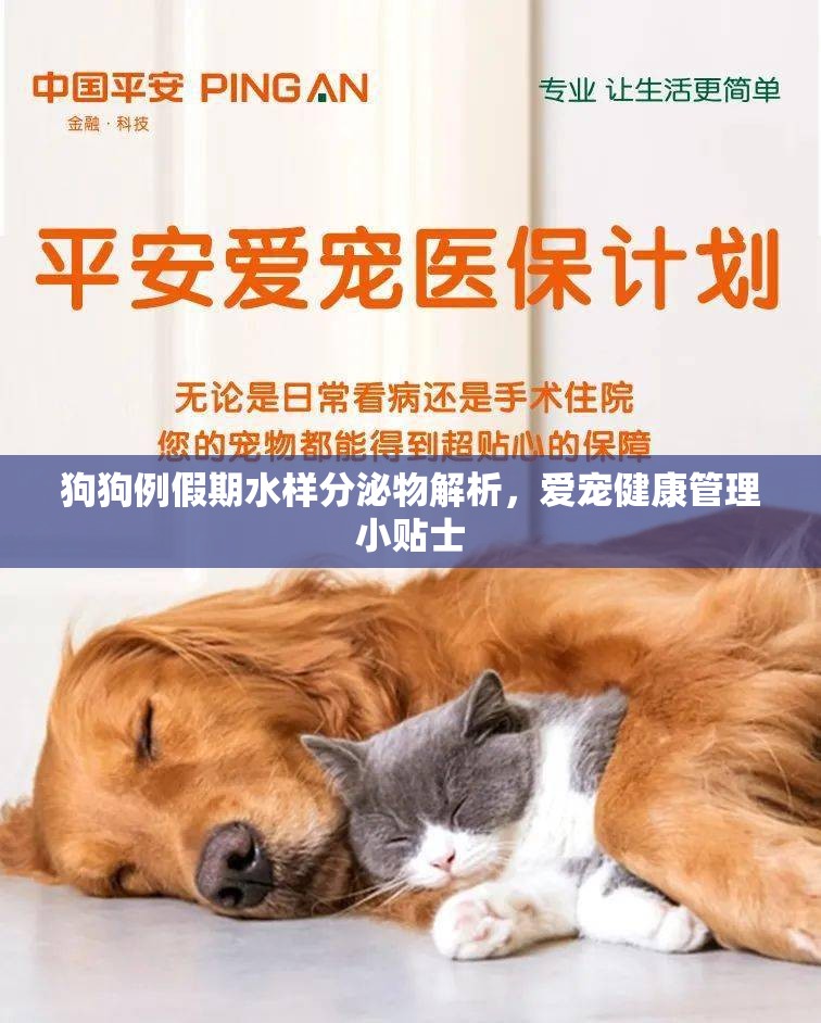 狗狗例假期水樣分泌物解析，愛寵健康管理小貼士