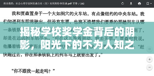 揭秘學(xué)校獎學(xué)金背后的陰影，陽光下的不為人知之謎