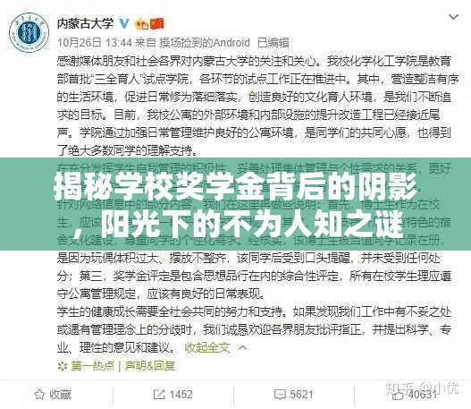 揭秘學(xué)校獎學(xué)金背后的陰影，陽光下的不為人知之謎