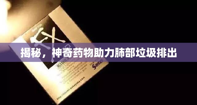 揭秘，神奇藥物助力肺部垃圾排出