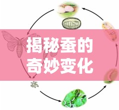 揭秘蠶的奇妙變化，從淡綠色液體到黑色的奧秘