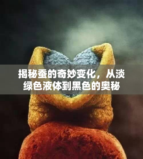 揭秘蠶的奇妙變化，從淡綠色液體到黑色的奧秘