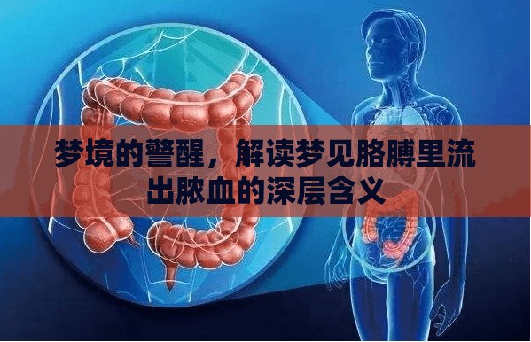 夢境的警醒，解讀夢見胳膊里流出膿血的深層含義