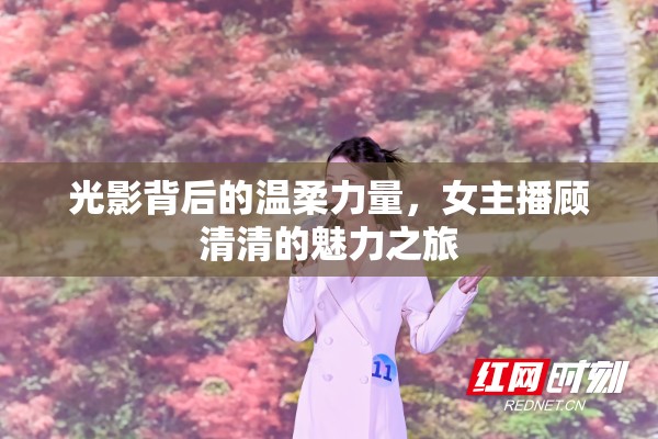 光影背后的溫柔力量，女主播顧清清的魅力之旅