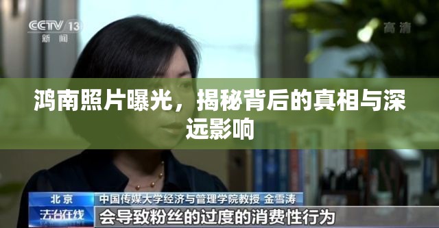 鴻南照片曝光，揭秘背后的真相與深遠(yuǎn)影響