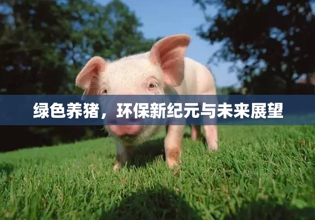 綠色養(yǎng)豬，環(huán)保新紀(jì)元與未來展望