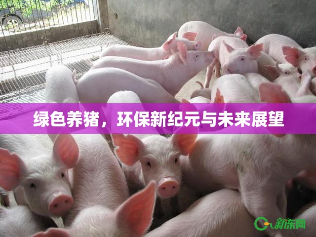 綠色養(yǎng)豬，環(huán)保新紀(jì)元與未來展望