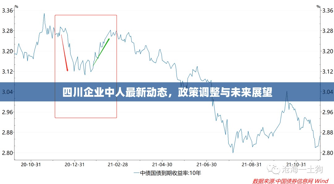 四川企業(yè)中人最新動(dòng)態(tài)，政策調(diào)整與未來(lái)展望