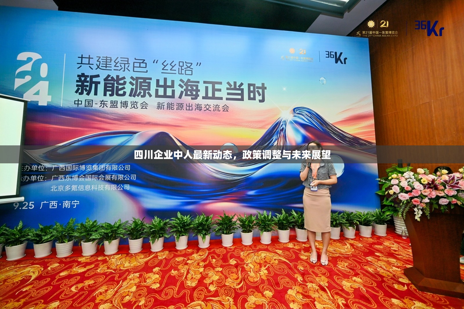 四川企業(yè)中人最新動(dòng)態(tài)，政策調(diào)整與未來(lái)展望