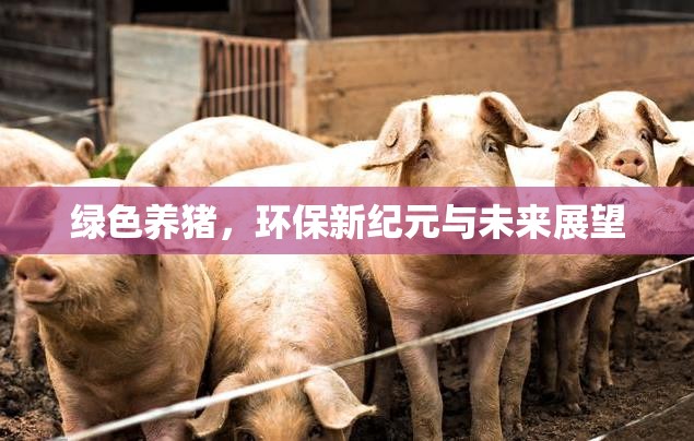 綠色養(yǎng)豬，環(huán)保新紀(jì)元與未來展望