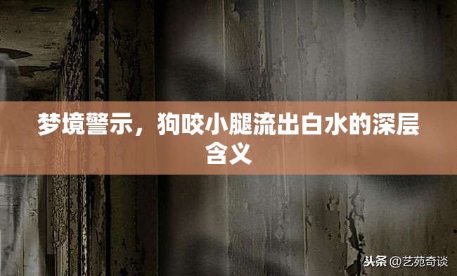 夢境警示，狗咬小腿流出白水的深層含義
