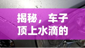 揭秘，車子頂上水滴的來源