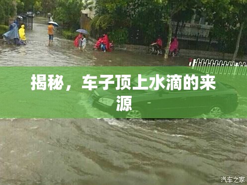 揭秘，車子頂上水滴的來源