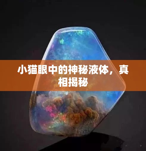 小貓眼中的神秘液體，真相揭秘