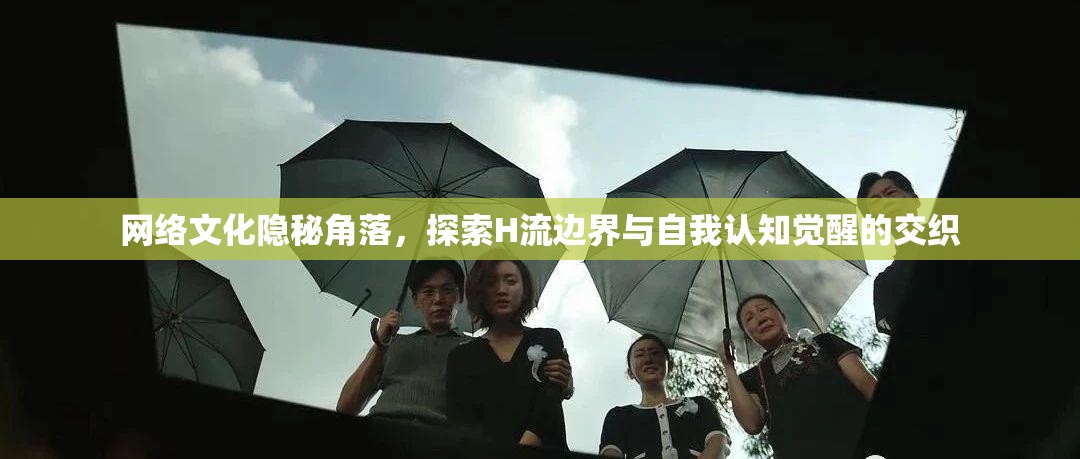 網(wǎng)絡文化隱秘角落，探索H流邊界與自我認知覺醒的交織