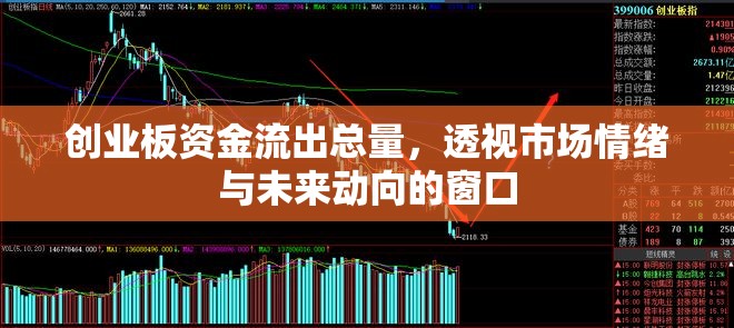 創(chuàng)業(yè)板資金流出總量，透視市場情緒與未來動(dòng)向的窗口