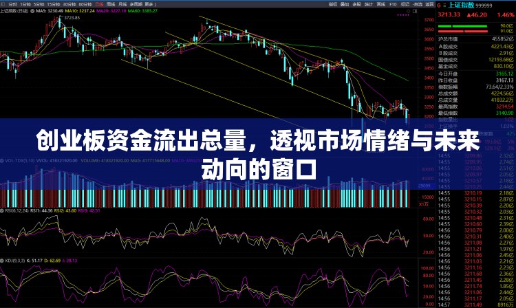 創(chuàng)業(yè)板資金流出總量，透視市場情緒與未來動(dòng)向的窗口