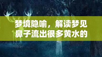 夢(mèng)境隱喻，解讀夢(mèng)見鼻子流出很多黃水的深層含義