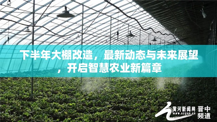 下半年大棚改造，最新動(dòng)態(tài)與未來(lái)展望，開(kāi)啟智慧農(nóng)業(yè)新篇章