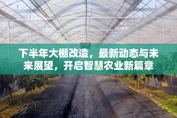 下半年大棚改造，最新動(dòng)態(tài)與未來(lái)展望，開(kāi)啟智慧農(nóng)業(yè)新篇章