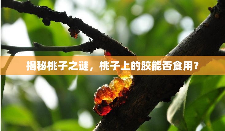 揭秘桃子之謎，桃子上的膠能否食用？