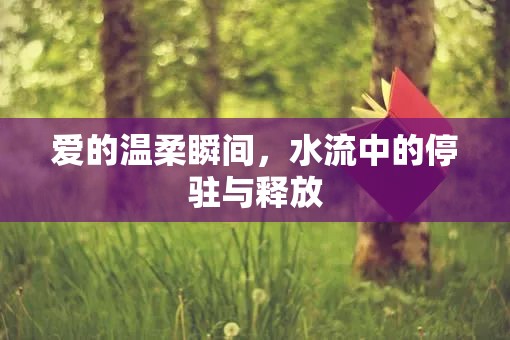 愛的溫柔瞬間，水流中的停駐與釋放