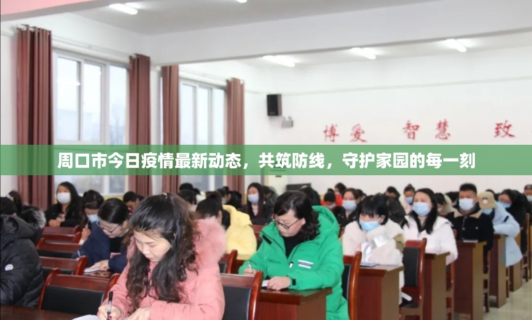 周口市今日疫情最新動(dòng)態(tài)，共筑防線，守護(hù)家園的每一刻