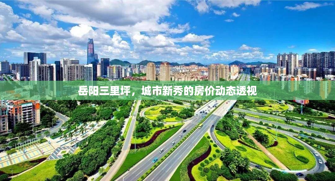 岳陽三里坪，城市新秀的房價動態(tài)透視