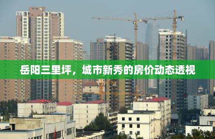 岳陽三里坪，城市新秀的房價動態(tài)透視