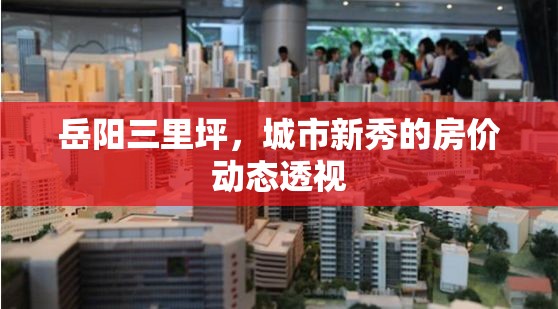 岳陽三里坪，城市新秀的房價動態(tài)透視