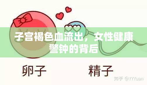 子宮褐色血流出，女性健康警鐘的背后