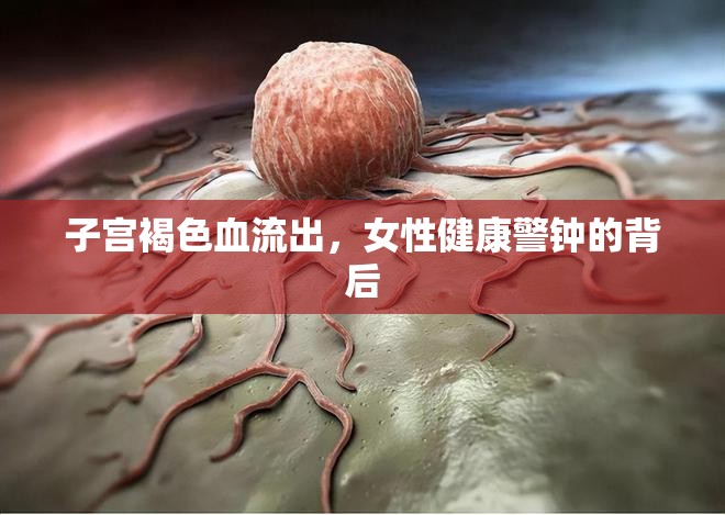 子宮褐色血流出，女性健康警鐘的背后