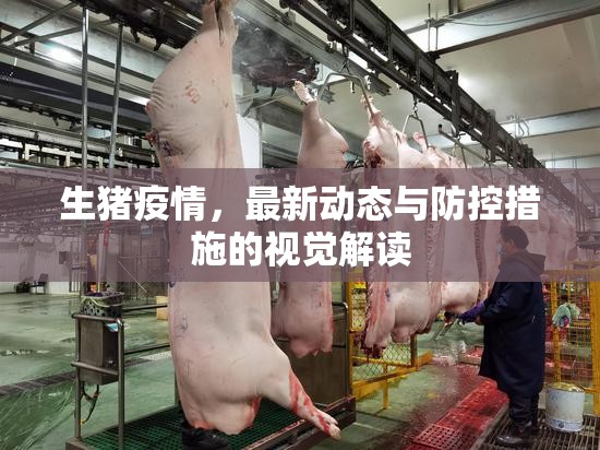 生豬疫情，最新動態(tài)與防控措施的視覺解讀