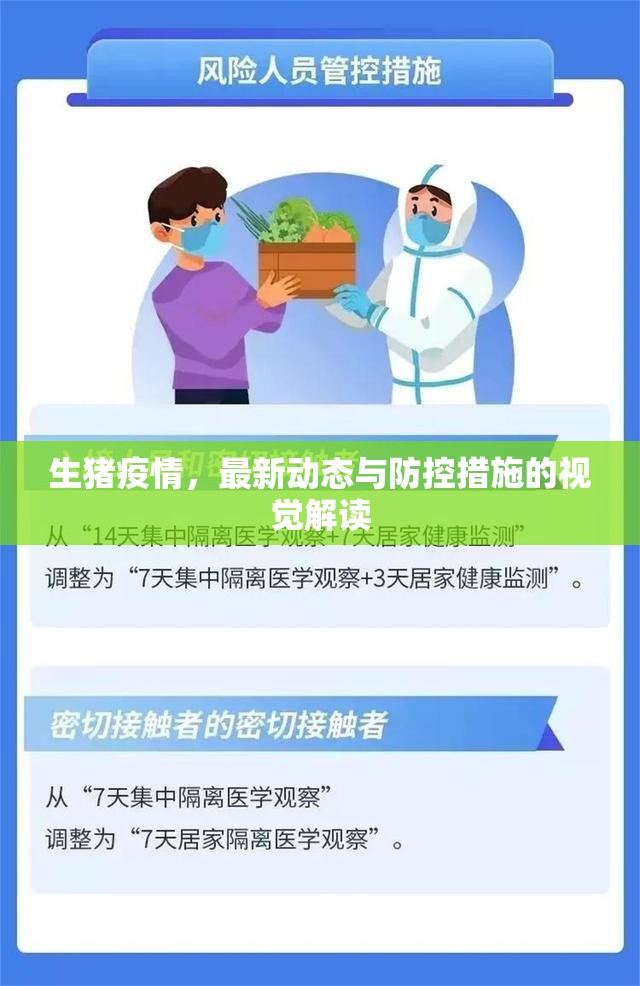 生豬疫情，最新動態(tài)與防控措施的視覺解讀