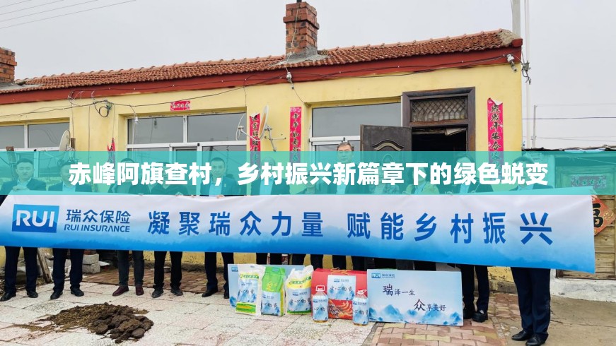 赤峰阿旗查村，鄉(xiāng)村振興新篇章下的綠色蛻變