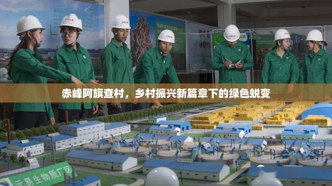 赤峰阿旗查村，鄉(xiāng)村振興新篇章下的綠色蛻變