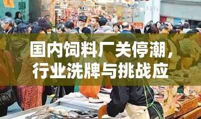 國內(nèi)飼料廠關(guān)停潮，行業(yè)洗牌與挑戰(zhàn)應(yīng)對的最新動態(tài)