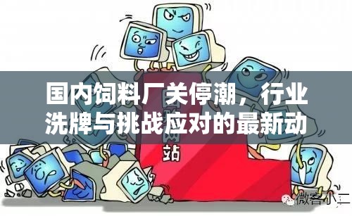 國內(nèi)飼料廠關(guān)停潮，行業(yè)洗牌與挑戰(zhàn)應(yīng)對的最新動態(tài)