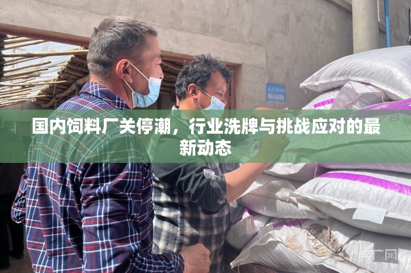 國內(nèi)飼料廠關(guān)停潮，行業(yè)洗牌與挑戰(zhàn)應(yīng)對的最新動態(tài)
