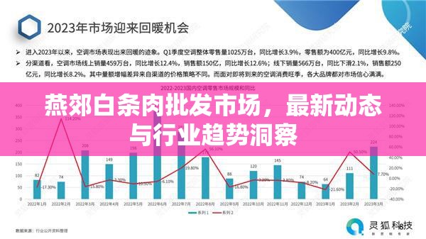 燕郊白條肉批發(fā)市場，最新動態(tài)與行業(yè)趨勢洞察