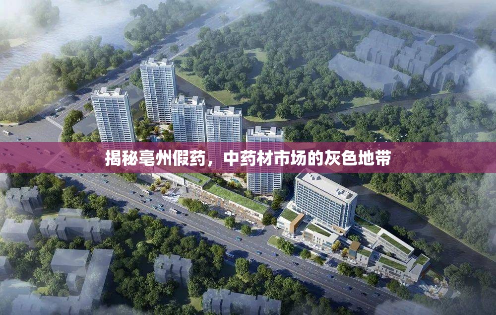 揭秘亳州假藥，中藥材市場的灰色地帶