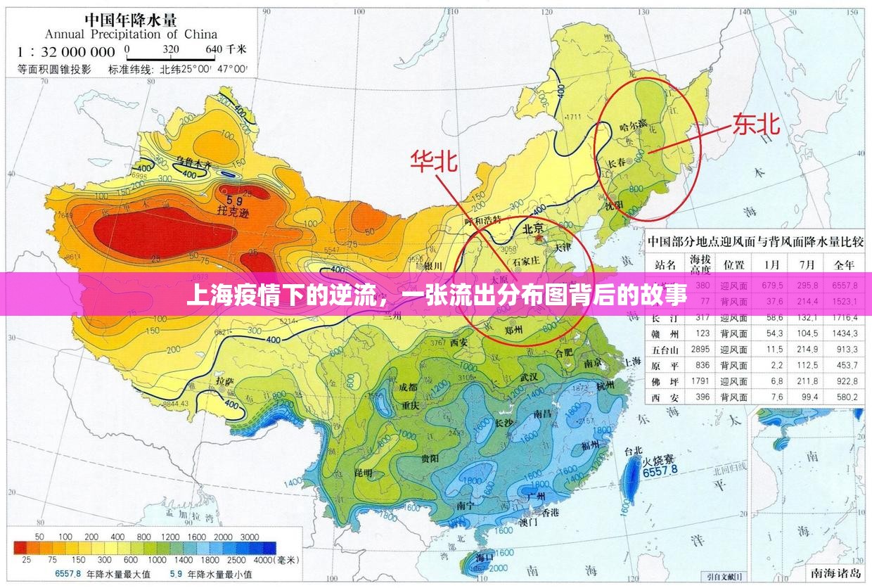 上海疫情下的逆流，一張流出分布圖背后的故事