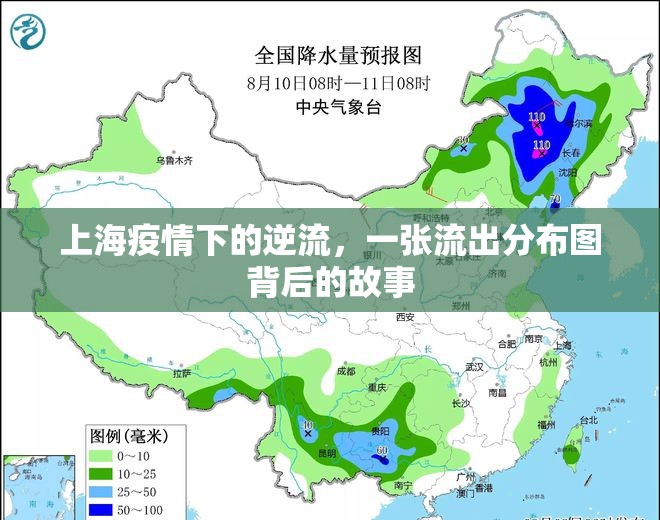 上海疫情下的逆流，一張流出分布圖背后的故事