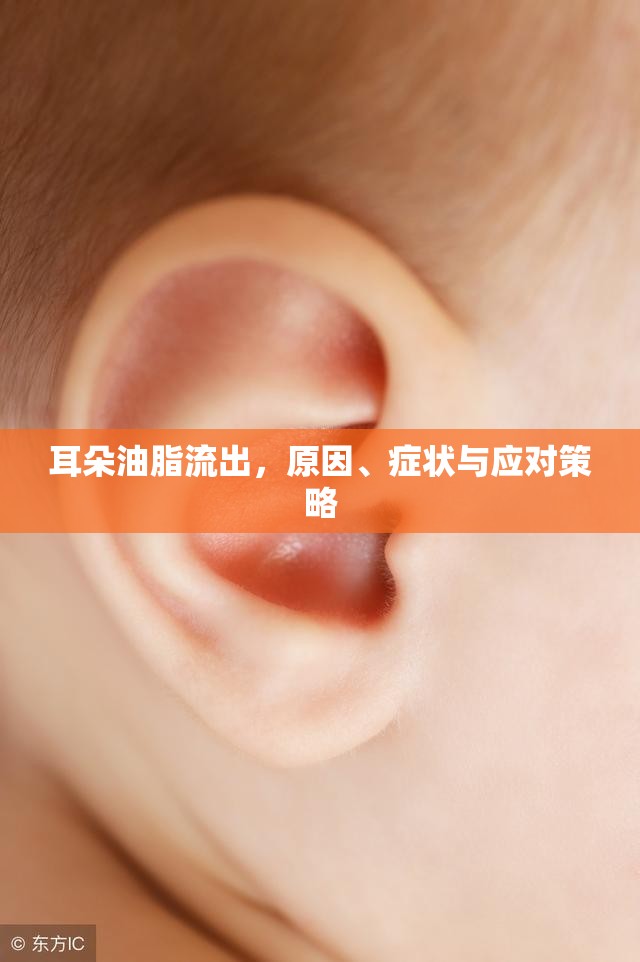耳朵油脂流出，原因、癥狀與應(yīng)對(duì)策略