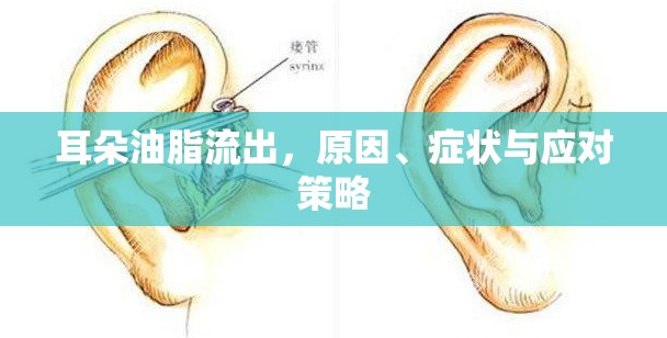 耳朵油脂流出，原因、癥狀與應(yīng)對(duì)策略