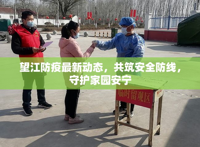 望江防疫最新動態(tài)，共筑安全防線，守護家園安寧