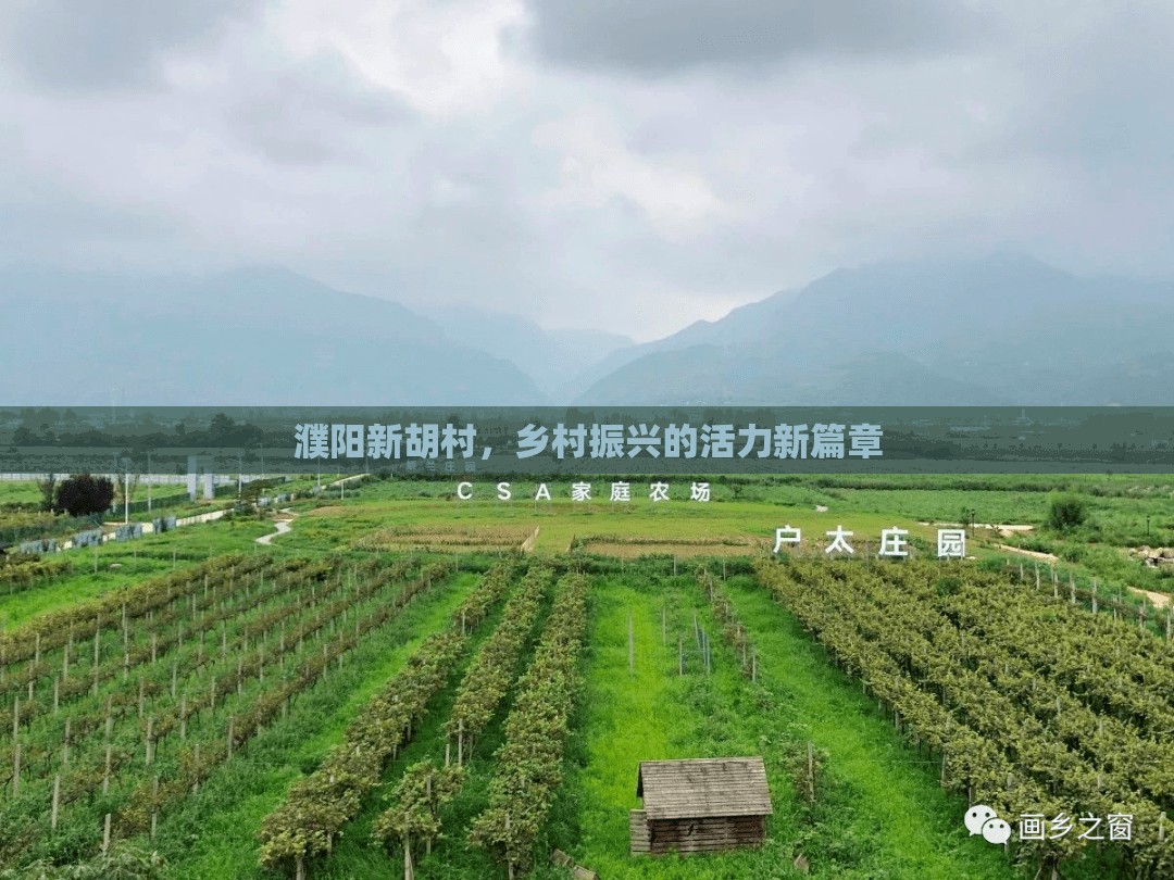 濮陽新胡村，鄉(xiāng)村振興的活力新篇章
