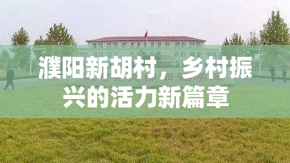 濮陽新胡村，鄉(xiāng)村振興的活力新篇章